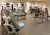 фитнес-центр fit home изображение 2 на проекте lovefit.ru